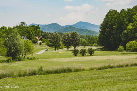 Tiny photo for 233 Ace Gap Rd, Townsend, TN 37882 (MLS # 1344502)