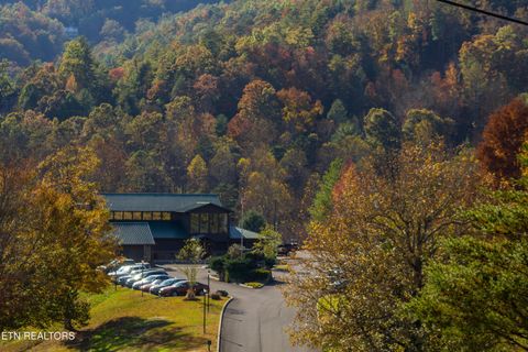 Tiny photo for 233 Ace Gap Rd, Townsend, TN 37882 (MLS # 1344502)