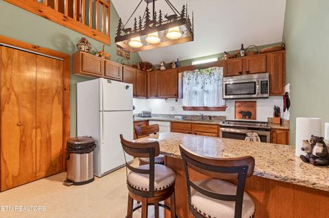Tiny photo for 233 Ace Gap Rd, Townsend, TN 37882 (MLS # 1344502)