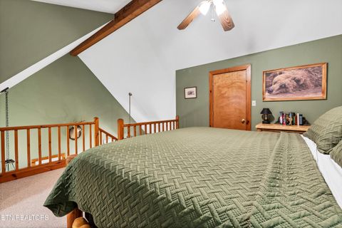 Tiny photo for 233 Ace Gap Rd, Townsend, TN 37882 (MLS # 1344502)