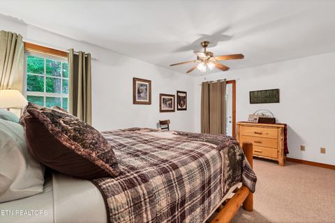 Tiny photo for 233 Ace Gap Rd, Townsend, TN 37882 (MLS # 1344502)