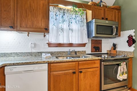Tiny photo for 233 Ace Gap Rd, Townsend, TN 37882 (MLS # 1344502)