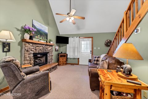 Tiny photo for 233 Ace Gap Rd, Townsend, TN 37882 (MLS # 1344502)