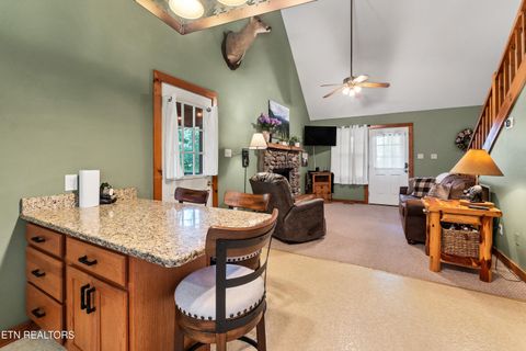 Tiny photo for 233 Ace Gap Rd, Townsend, TN 37882 (MLS # 1344502)