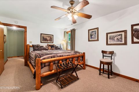 Tiny photo for 233 Ace Gap Rd, Townsend, TN 37882 (MLS # 1344502)