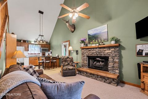 Tiny photo for 233 Ace Gap Rd, Townsend, TN 37882 (MLS # 1344502)