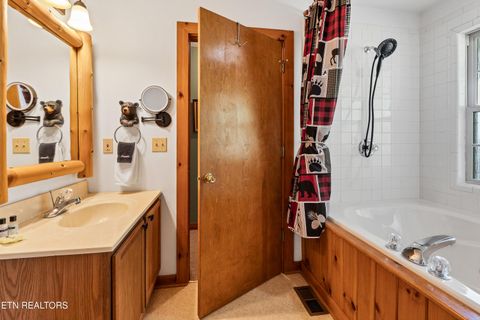 Tiny photo for 233 Ace Gap Rd, Townsend, TN 37882 (MLS # 1344502)