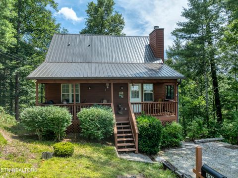 Photo of 233 Ace Gap Rd, Townsend, TN 37882 (MLS # 1344502)