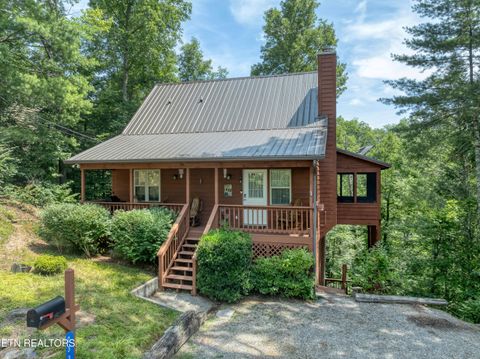Tiny photo for 233 Ace Gap Rd, Townsend, TN 37882 (MLS # 1344502)