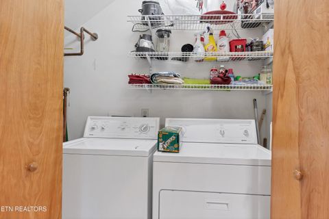 Tiny photo for 233 Ace Gap Rd, Townsend, TN 37882 (MLS # 1344502)