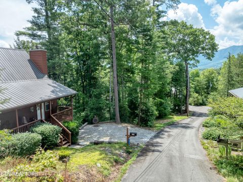 Tiny photo for 233 Ace Gap Rd, Townsend, TN 37882 (MLS # 1344502)