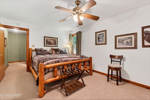Tiny photo for 233 Ace Gap Rd, Townsend, TN 37882 (MLS # 1344502)