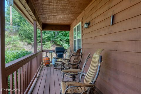 Tiny photo for 233 Ace Gap Rd, Townsend, TN 37882 (MLS # 1344502)