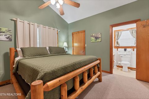 Tiny photo for 233 Ace Gap Rd, Townsend, TN 37882 (MLS # 1344502)