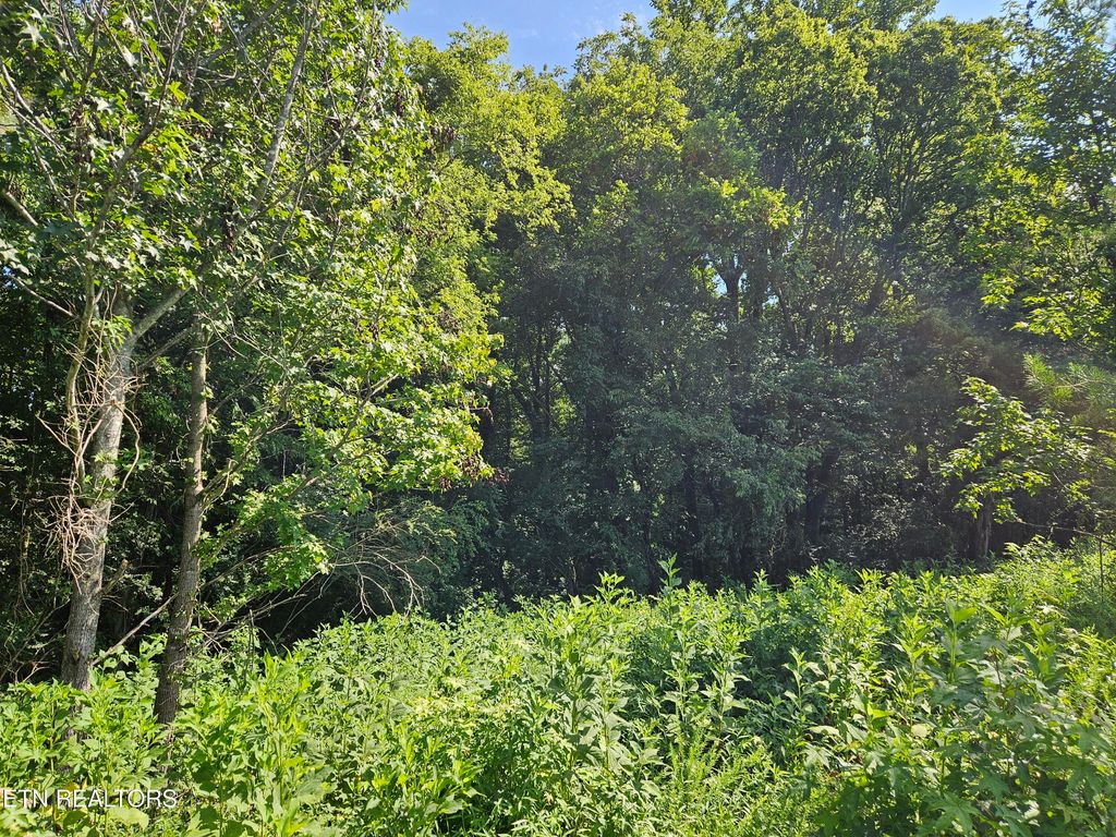 Photo of 206 Majestic View Drive, Rockwood, TN 37854 (MLS # 1311032)