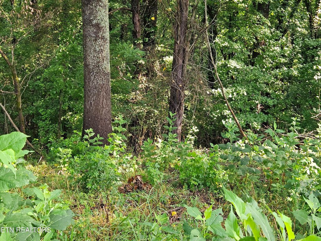 Photo of 206 Majestic View Drive, Rockwood, TN 37854 (MLS # 1311032)