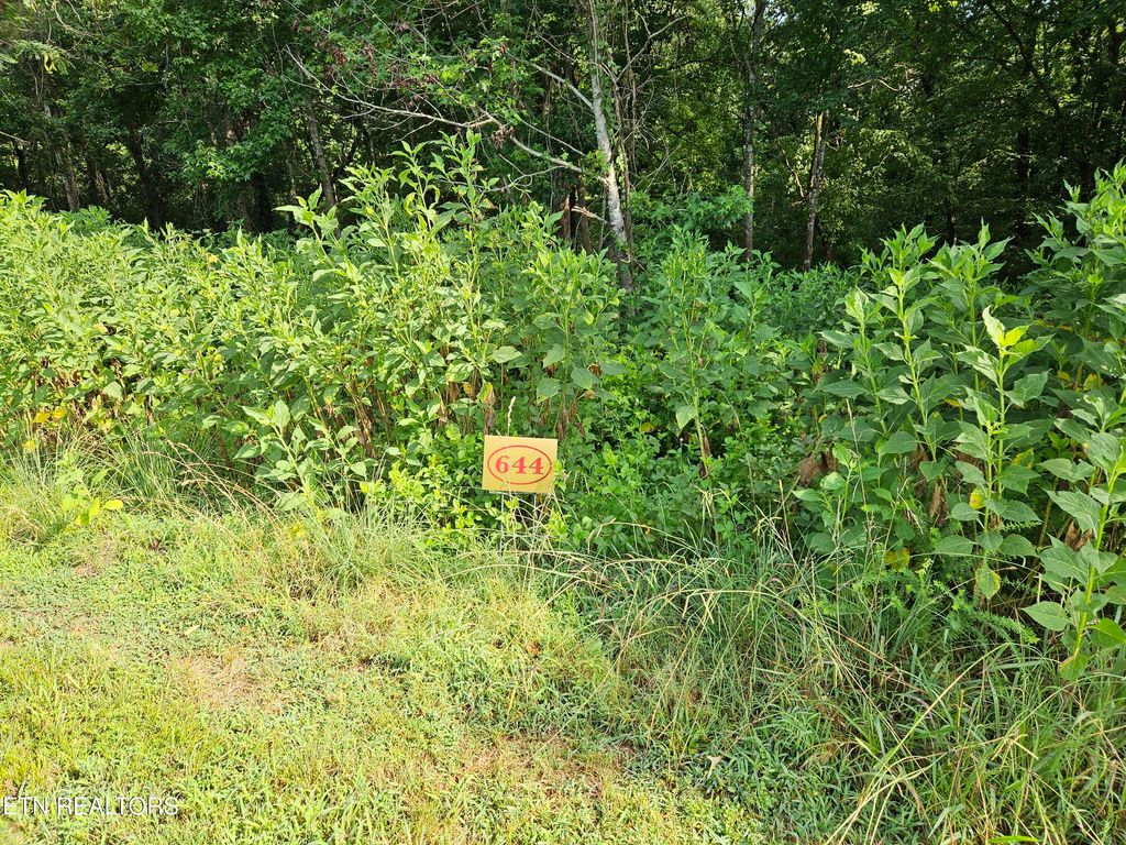 Photo of 206 Majestic View Drive, Rockwood, TN 37854 (MLS # 1311032)