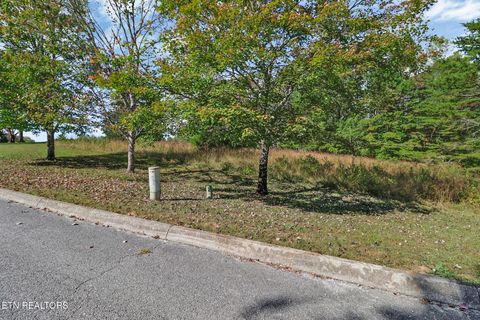 Tiny photo for 34 Indigo Bunting Drive, Harriman, TN 37748 (MLS # 1339528)