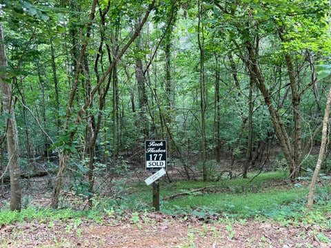 Photo of Lot 177 Moonstone Lane, New Tazewell, TN 37825 (MLS # 1347249)