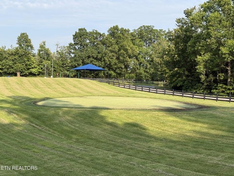 Tiny photo for Lot 177 Moonstone Lane, New Tazewell, TN 37825 (MLS # 1347249)