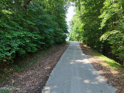 Tiny photo for Lot 177 Moonstone Lane, New Tazewell, TN 37825 (MLS # 1347249)