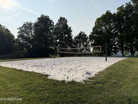 Tiny photo for Lot 177 Moonstone Lane, New Tazewell, TN 37825 (MLS # 1347249)