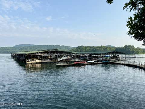 Tiny photo for Lot 177 Moonstone Lane, New Tazewell, TN 37825 (MLS # 1347249)