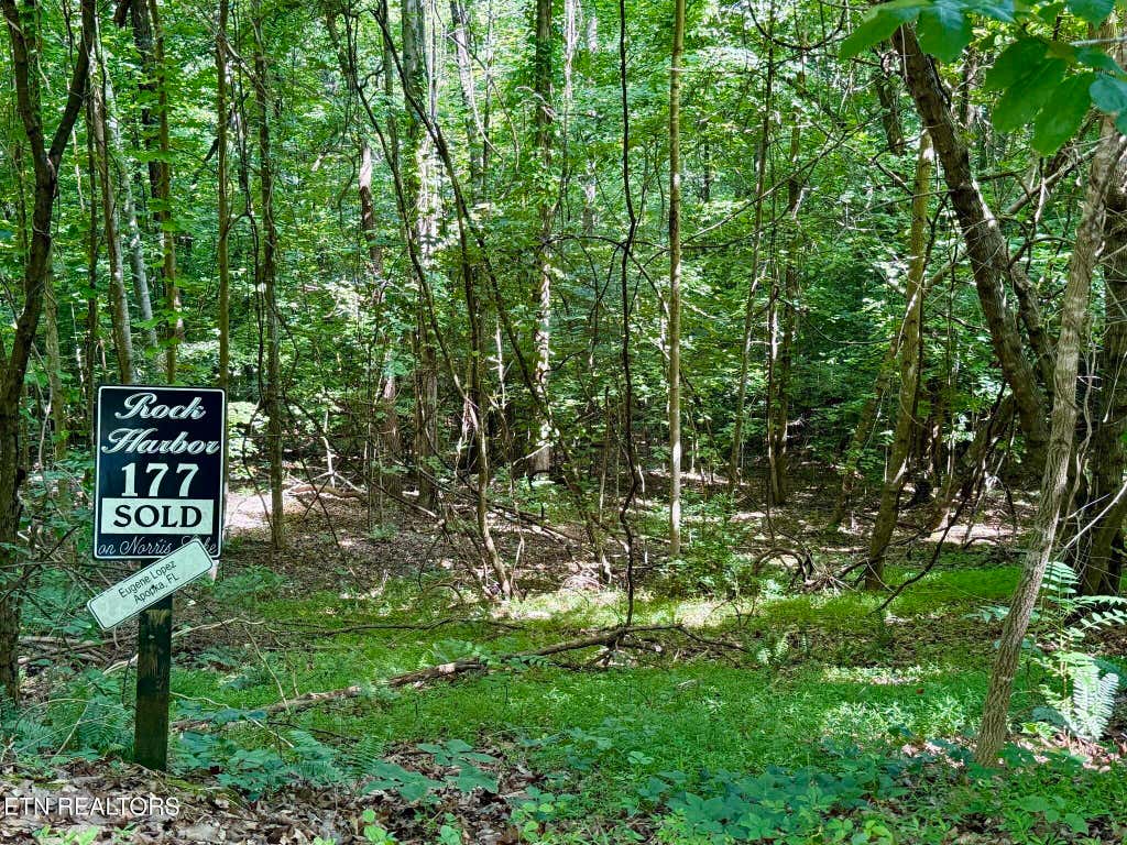 Photo of Moonstone Lane, New Tazewell, TN 37825 (MLS # 1347249)