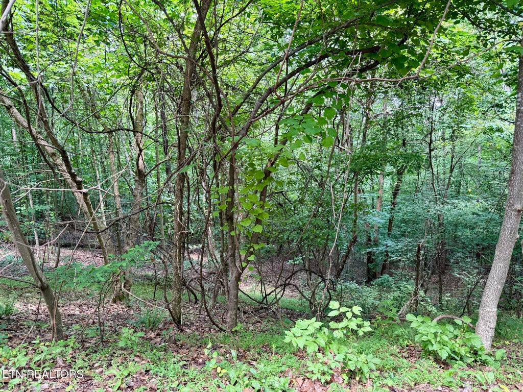 Photo of Moonstone Lane, New Tazewell, TN 37825 (MLS # 1347249)