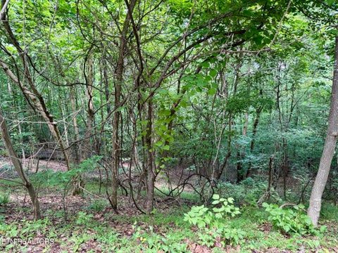 Tiny photo for Lot 177 Moonstone Lane, New Tazewell, TN 37825 (MLS # 1347249)