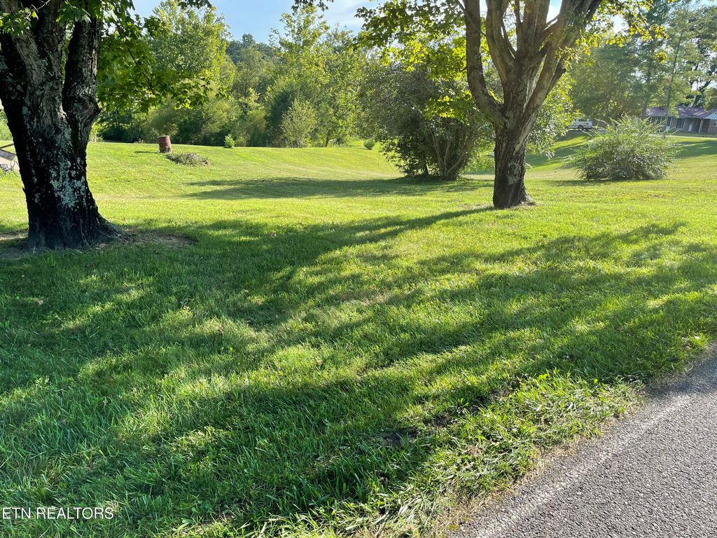 Photo of 415 Pleasant Hill Rd, Bulls Gap, TN 37711 (MLS # 1319858)