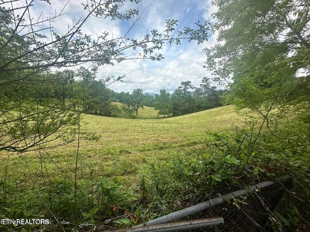 Photo of 1123 Pleasant Ridge Rd, LaFollette, TN 37766 (MLS # 1325680)