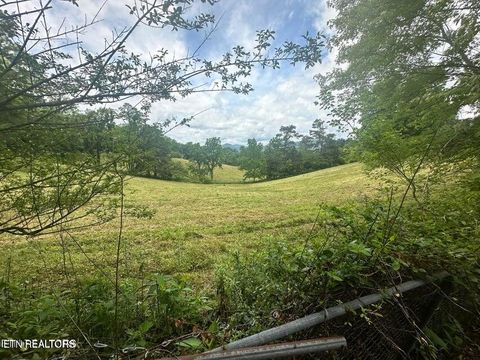 1123 Pleasant Ridge Rd LaFollette TN 37766