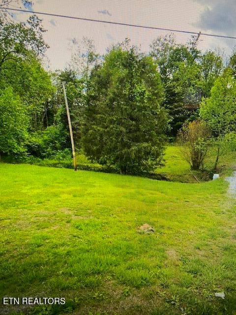 Photo of 109 Greasy Cove Rd, Cosby, TN 37722 (MLS # 1306661)