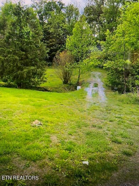 Photo of 109 Greasy Cove Rd, Cosby, TN 37722 (MLS # 1306661)