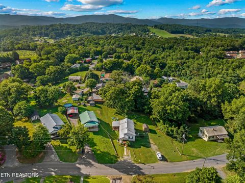 Tiny photo for 532 Woodlawn Ave, Newport, TN 37821 (MLS # 1317630)