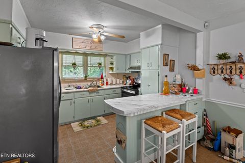 Tiny photo for 532 Woodlawn Ave, Newport, TN 37821 (MLS # 1317630)