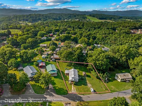 Tiny photo for 532 Woodlawn Ave, Newport, TN 37821 (MLS # 1317630)