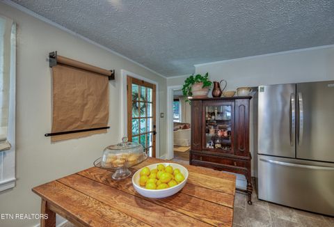 Tiny photo for 622 Balsam Drive Drive, Knoxville, TN 37918 (MLS # 1344900)
