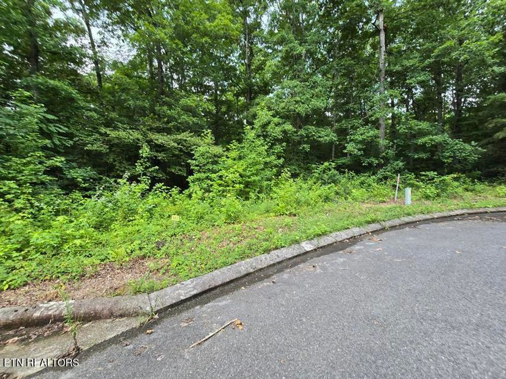 Photo of Lot 142 Lower Brow Rd, Dunlap, TN 37327 (MLS # 1348927)