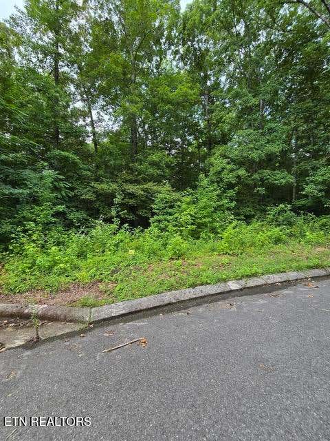 Photo of Lot 142 Lower Brow Rd, Dunlap, TN 37327 (MLS # 1348927)