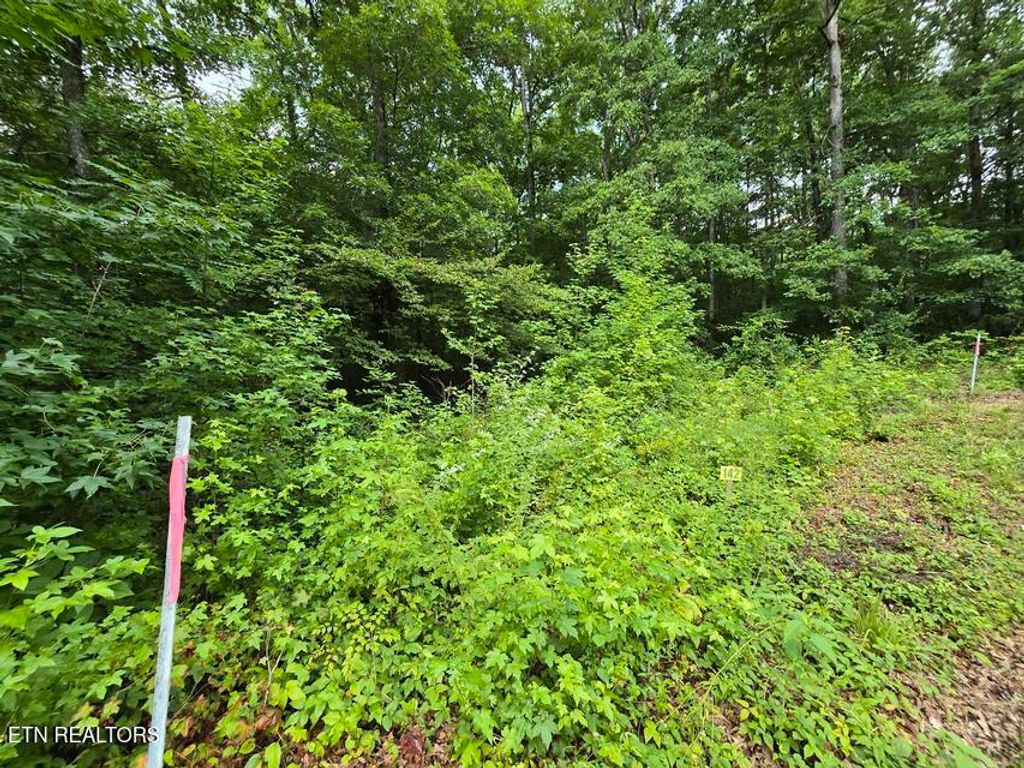 Photo of Lot 142 Lower Brow Rd, Dunlap, TN 37327 (MLS # 1348927)
