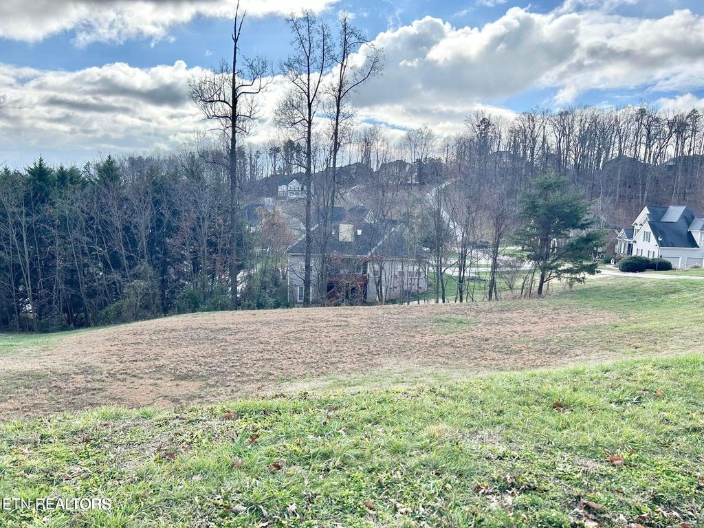 Photo of Laurel Ridge Lane, Knoxville, TN 37922 (MLS # 1337734)