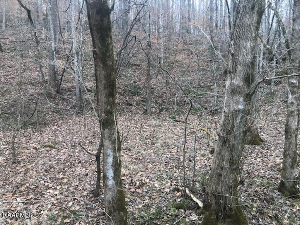 Photo of Timothy Way Rd, New Tazewell, TN 37825 (MLS # 1223454)