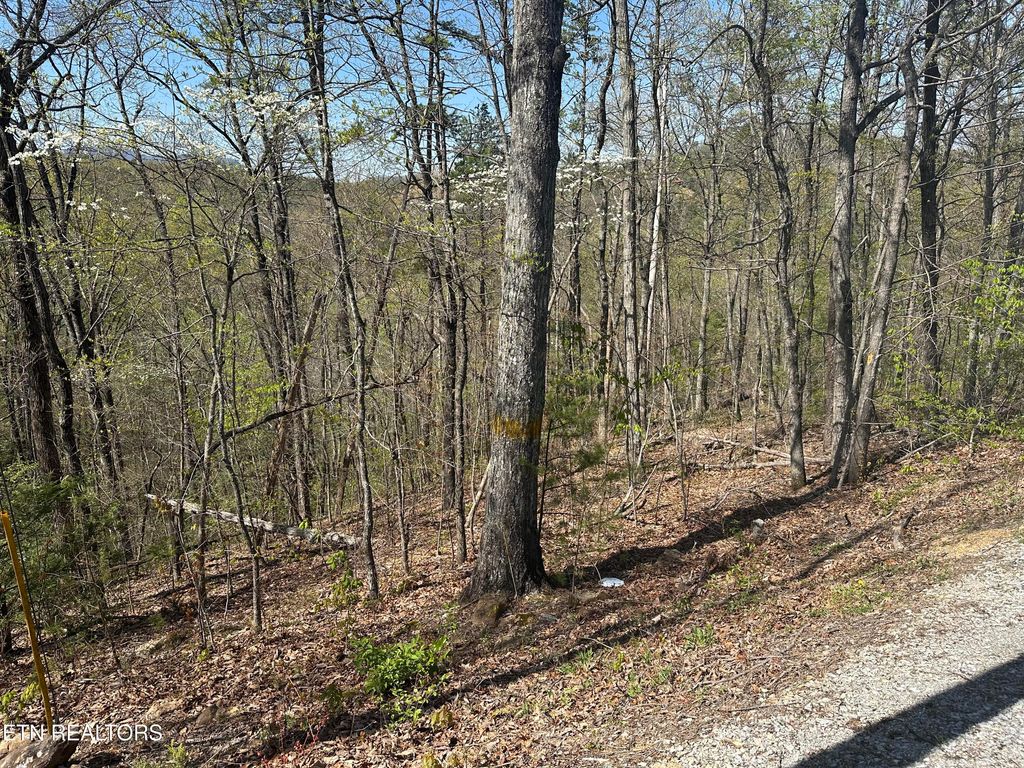 Photo of 1532 Mountain Dreams Way, Pigeon Forge, TN 37862 (MLS # 1296892)