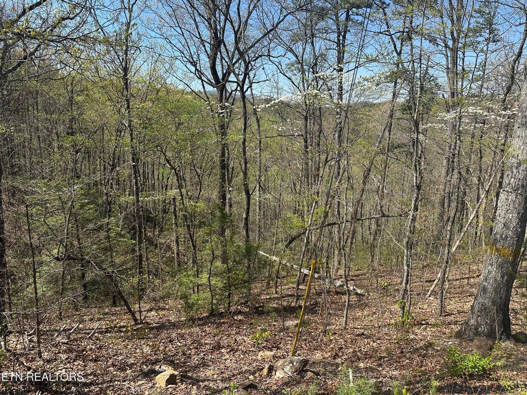 Photo of 1532 Mountain Dreams Way, Pigeon Forge, TN 37862 (MLS # 1296892)