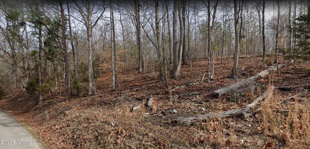 Photo of High Ridge Rd, Kingston, TN 37763 (MLS # 1282911)