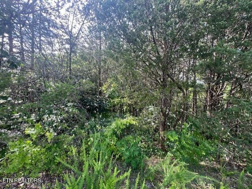 Photo of 30 DRIFTWOOD CIRCLE, Sevierville, TN 37876 (MLS # 1304966)