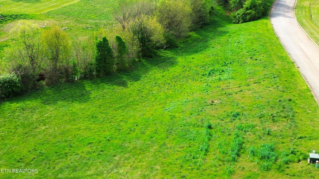 Photo of 916 Carter Springs Drive, Maryville, TN 37801 (MLS # 1335321)