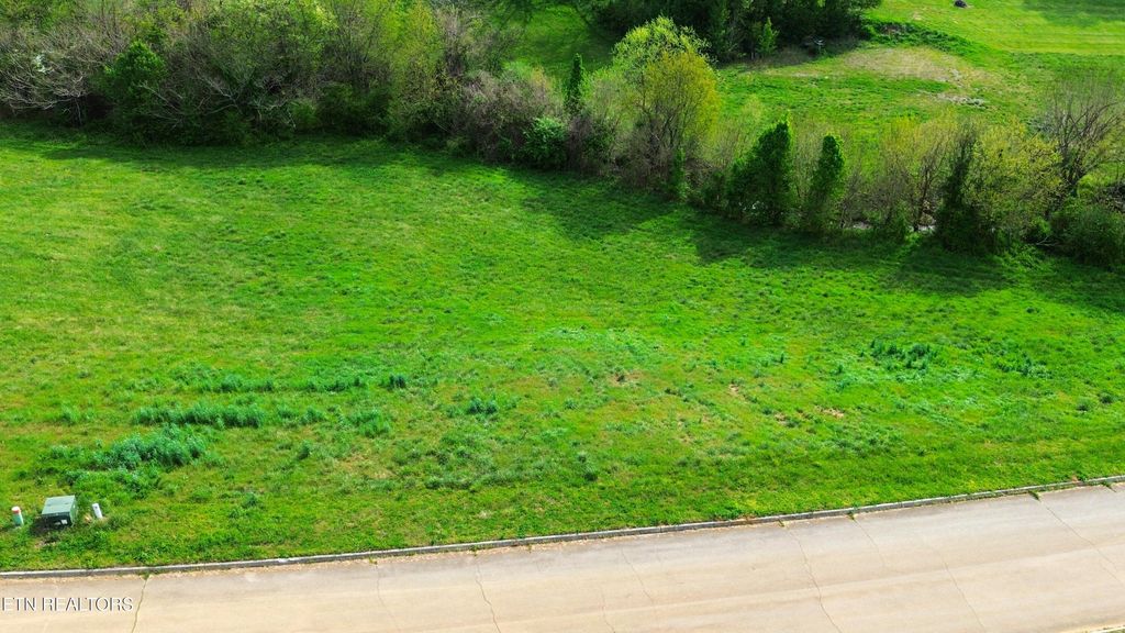 Photo of 916 Carter Springs Drive, Maryville, TN 37801 (MLS # 1335321)